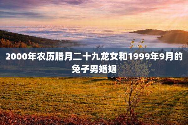 2000年农历腊月二十九龙女和1999年9月的兔子男婚姻