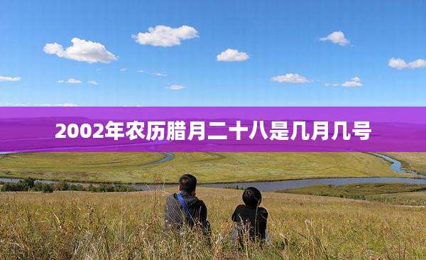 2002年农历腊月二十八是几月几号