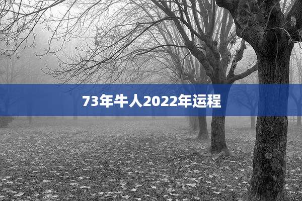73年牛人2022年运程