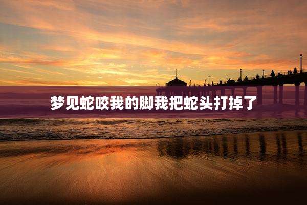 梦见蛇咬我的脚我把蛇头打掉了