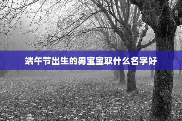 端午节出生的男宝宝取什么名字好