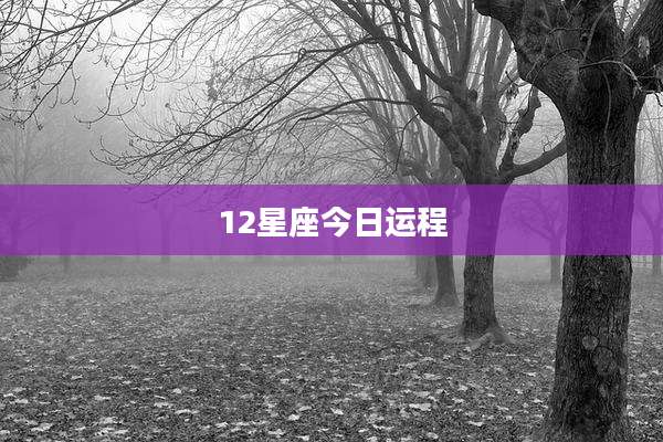 12星座今日运程