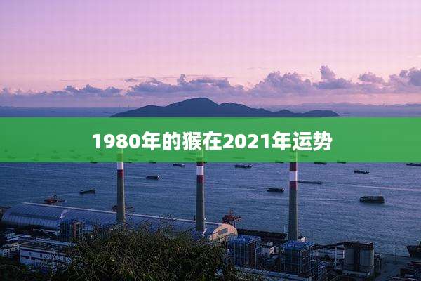 1980年的猴在2021年运势