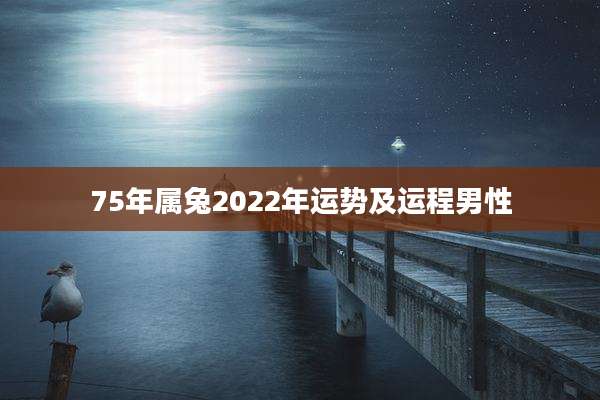 75年属兔2022年运势及运程男性