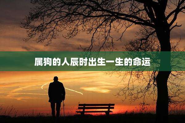 属狗的人辰时出生一生的命运