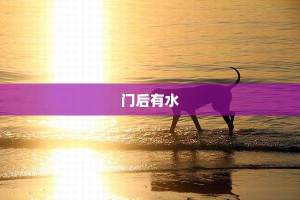 门后有水