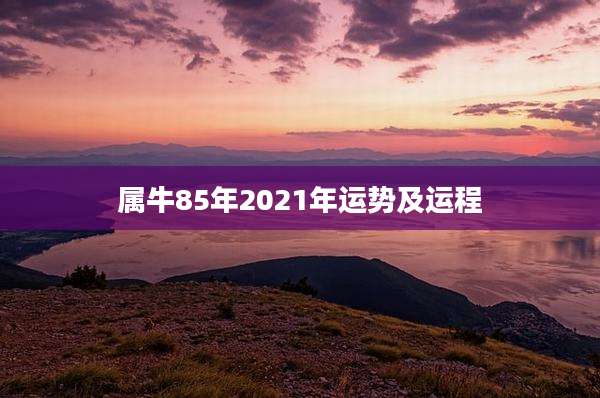 属牛85年2021年运势及运程