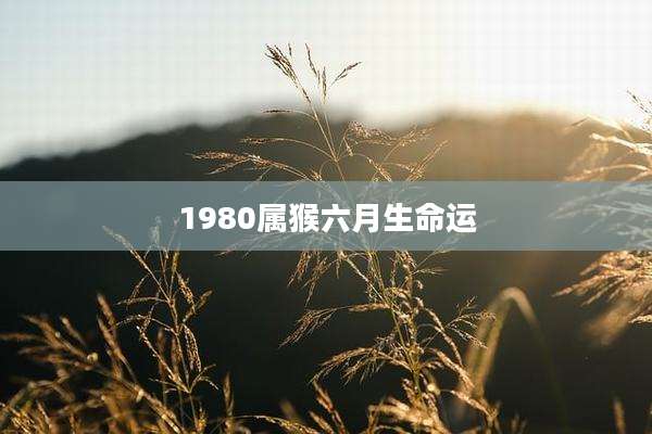 1980属猴六月生命运