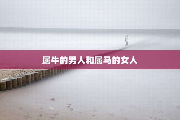属牛的男人和属马的女人