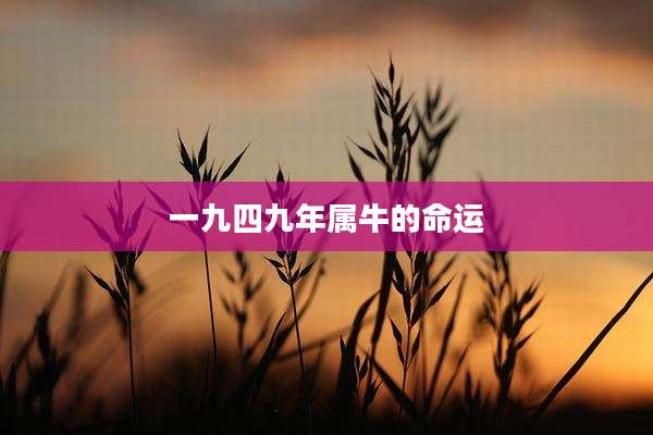 一九四九年属牛的命运