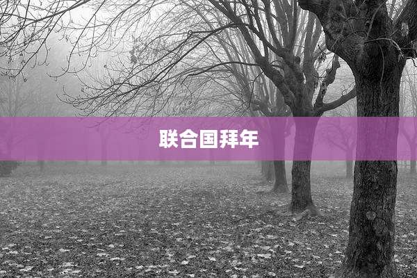 联合国拜年