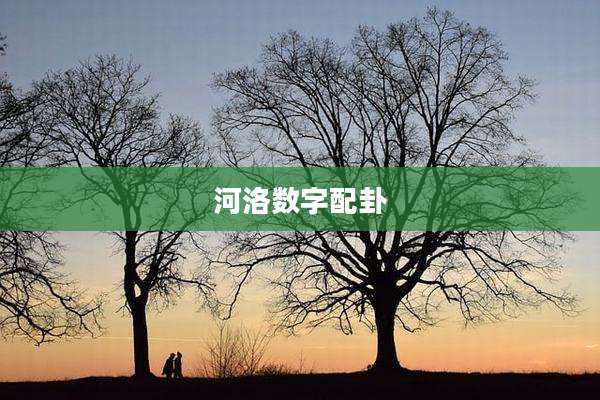 河洛数字配卦