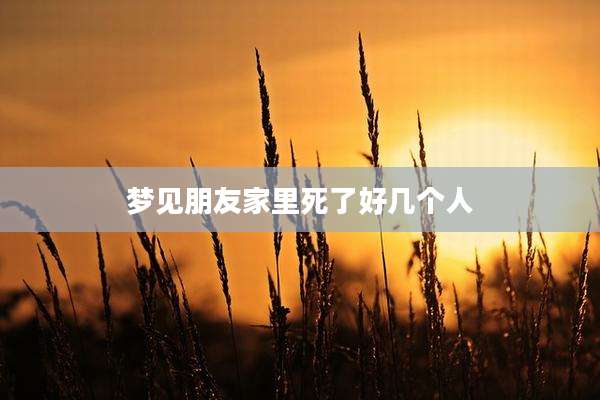 梦见朋友家里死了好几个人