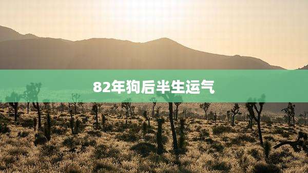 82年狗后半生运气