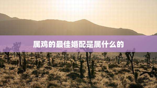 属鸡的最佳婚配是属什么的