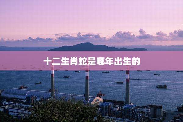十二生肖蛇是哪年出生的
