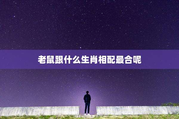 老鼠跟什么生肖相配最合呢