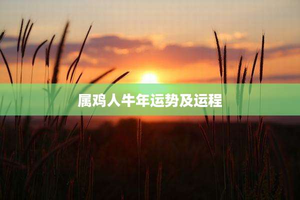 属鸡人牛年运势及运程