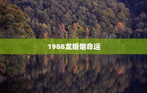 1988龙婚姻命运