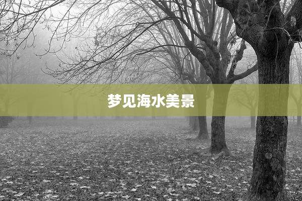 梦见海水美景