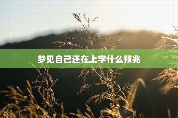梦见自己还在上学什么预兆
