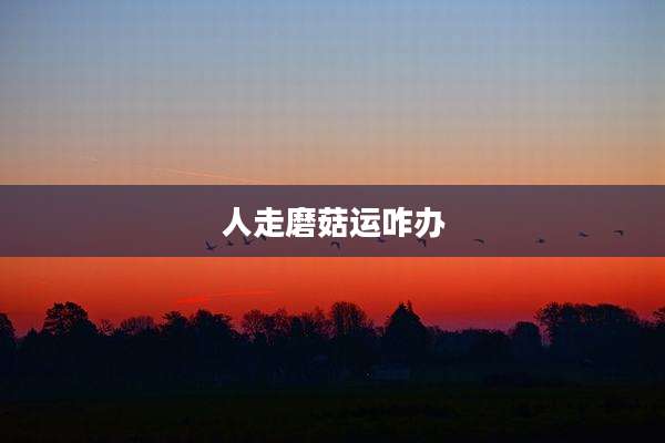 人走磨菇运咋办