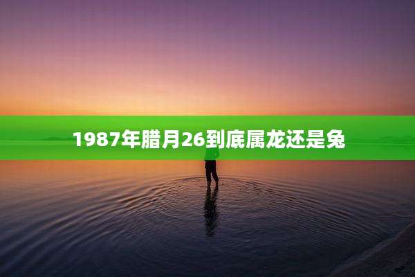 1987年腊月26到底属龙还是兔
