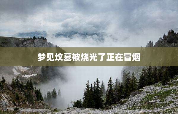 梦见坟墓被烧光了正在冒烟