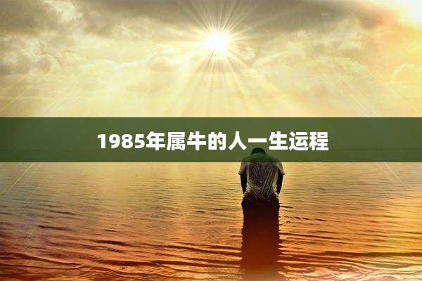1985年属牛的人一生运程