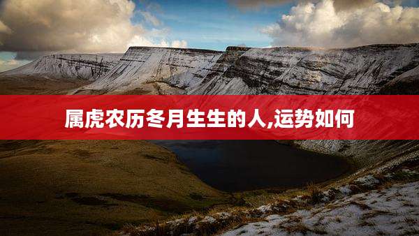 属虎农历冬月生生的人,运势如何