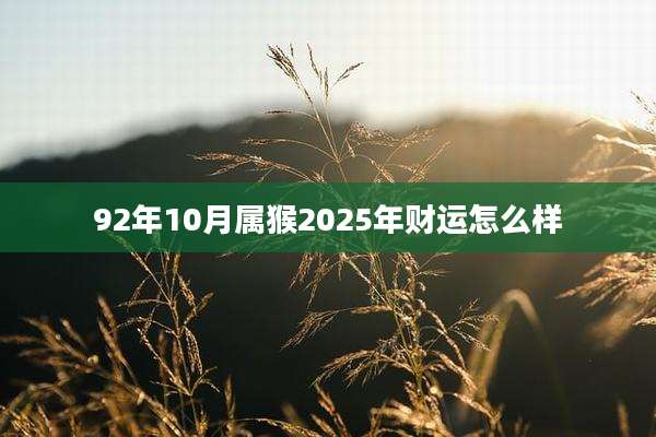 92年10月属猴2025年财运怎么样