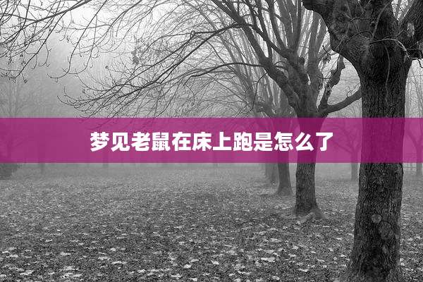 梦见老鼠在床上跑是怎么了