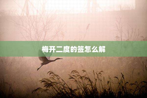 梅开二度的签怎么解