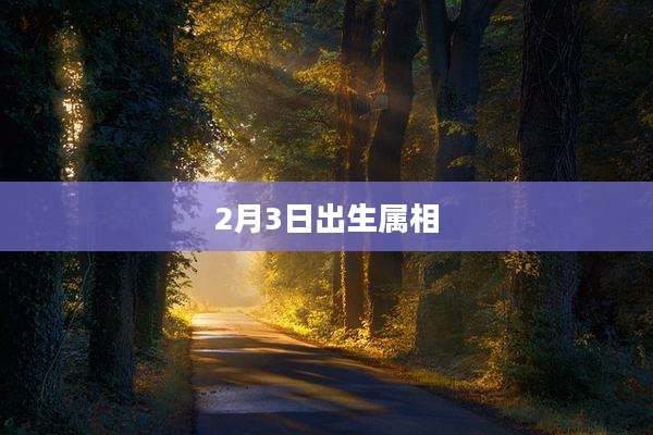 2月3日出生属相