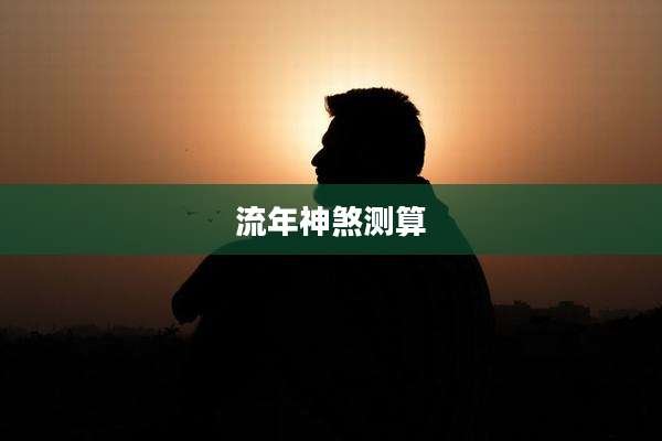 流年神煞测算