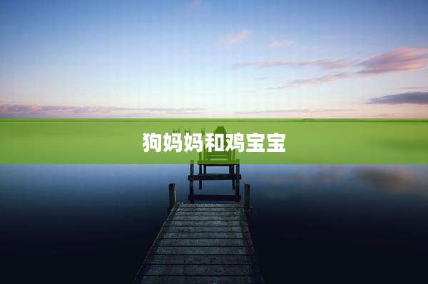 狗妈妈和鸡宝宝