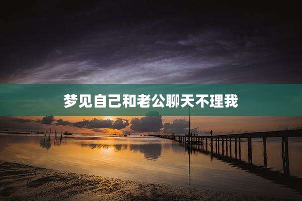 梦见自己和老公聊天不理我