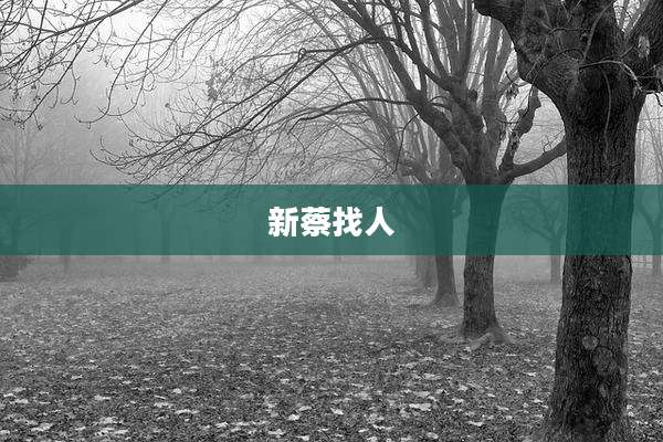 新蔡找人