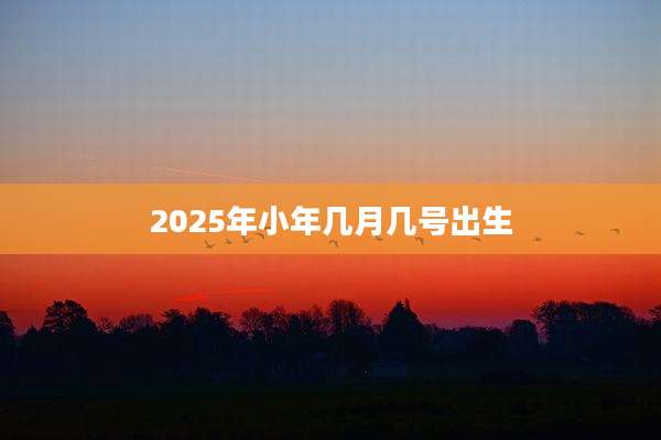 2025年小年几月几号出生