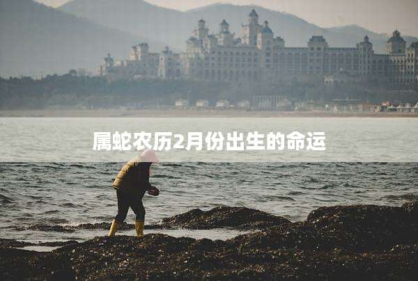 属蛇农历2月份出生的命运