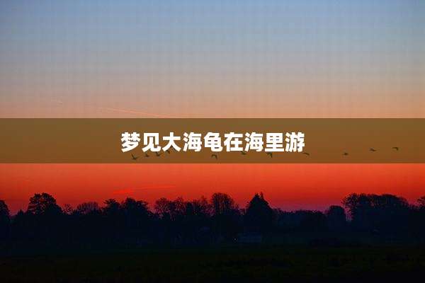 梦见大海龟在海里游