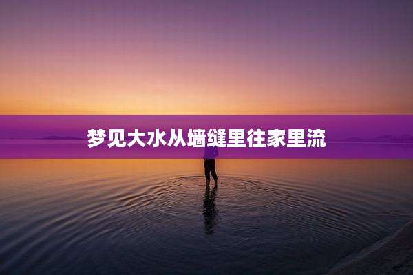 梦见大水从墙缝里往家里流