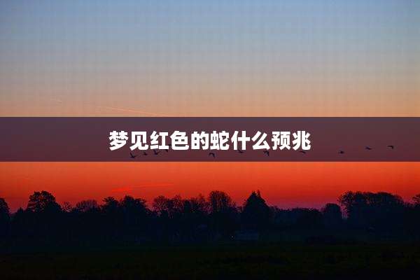 梦见红色的蛇什么预兆