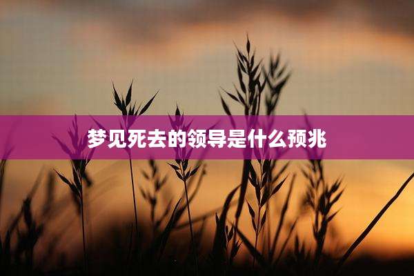 梦见死去的领导是什么预兆