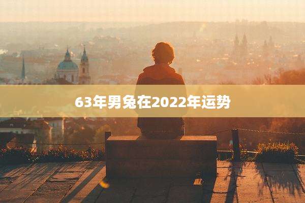 63年男兔在2022年运势