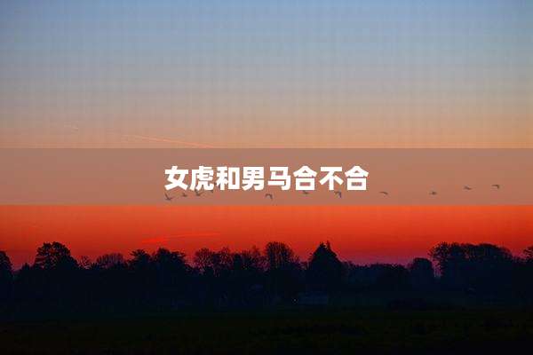 女虎和男马合不合