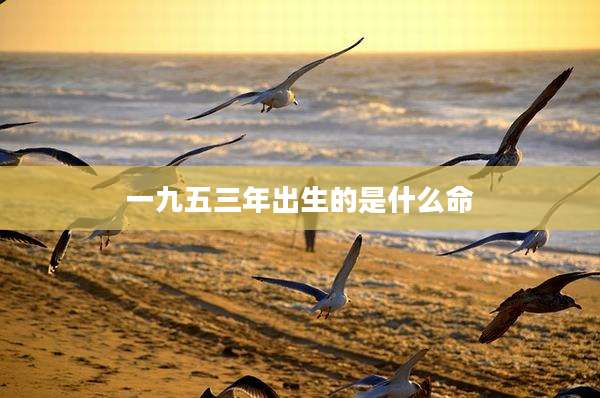 一九五三年出生的是什么命