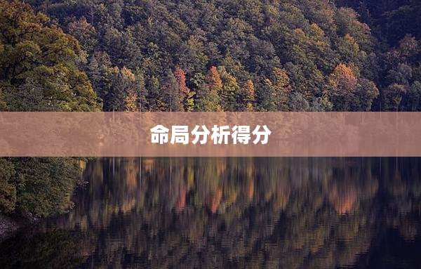 命局分析得分