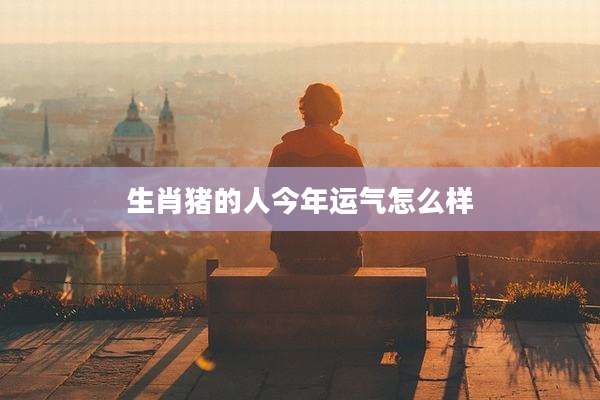 生肖猪的人今年运气怎么样