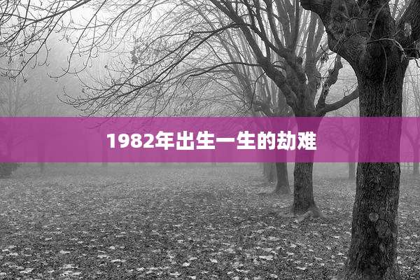 1982年出生一生的劫难